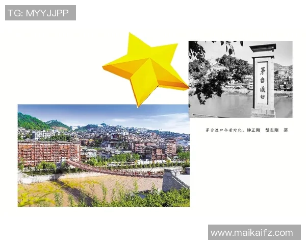 上海排球队精英赛征程回顾与奋斗精神的深度剖析 上海排球队精英赛征程回顾与奋斗精神的深度剖析