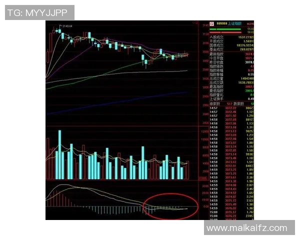 上海羽毛球队与南京羽毛球队赛后复盘分析比赛节奏与战术对比 上海羽毛球队与南京羽毛球队赛后复盘分析比赛节奏与战术对比