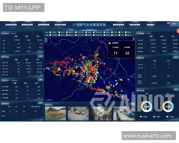 专业分析:液化天然气在区域市场的防守策略与应对措施 专业分析:液化天然气在区域市场的防守策略与应对措施