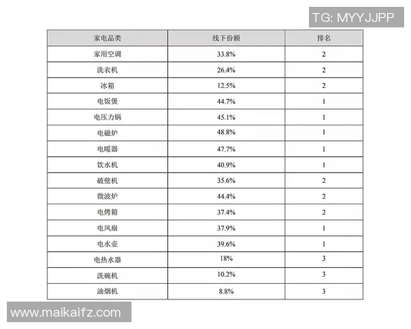 上海羽毛球队战术解析与训练策略的深度探讨与思考 上海羽毛球队战术解析与训练策略的深度探讨与思考