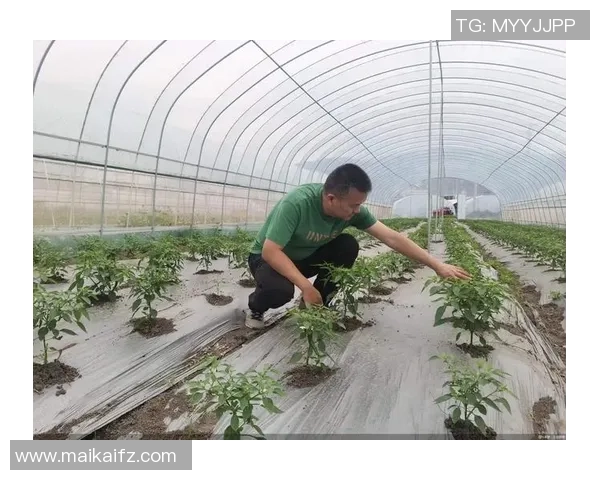 专访刘敏：探寻飞盘运动崛起背后的成功秘诀与发展趋势