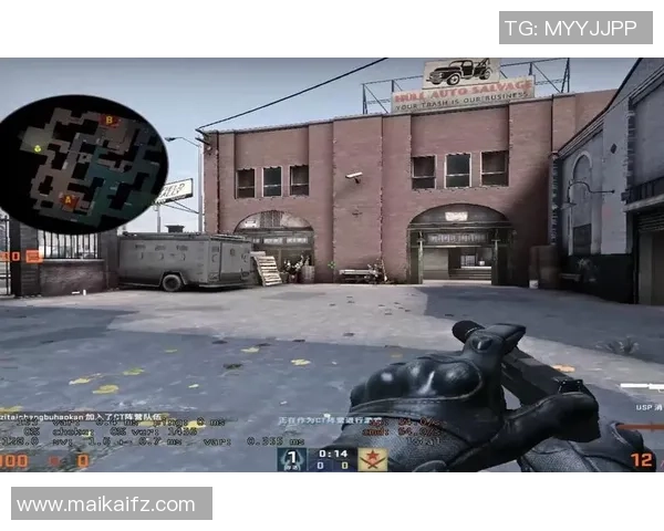 杨丽专访：从新手到高手的CSGO成长之路与心路历程回顾