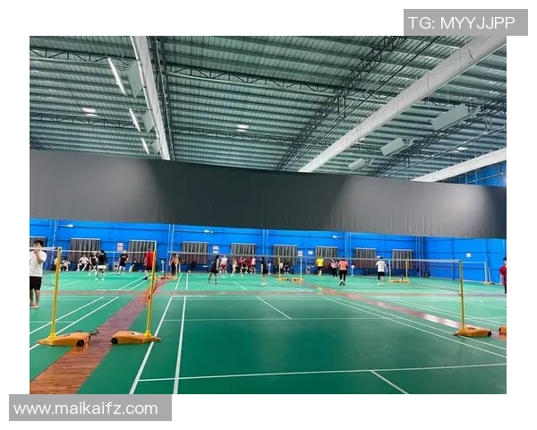 广州羽毛球队转型升级之路探索与挑战的深度剖析