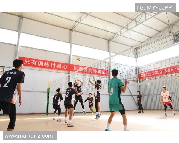 武汉排球队快攻战术解析与深度剖析排球技艺的魅力与挑战