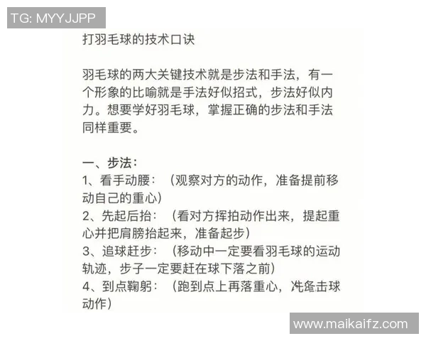 武汉羽毛球队战术解析聚焦羽毛球竞技策略与团队协作的完美结合 武汉羽毛球队战术解析聚焦羽毛球竞技策略与团队协作的完美结合